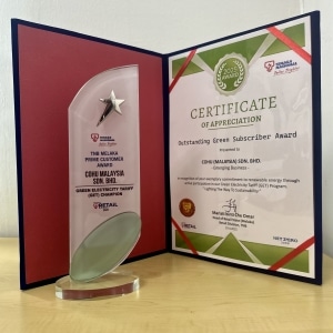 Outstanding Green Subscriber Award